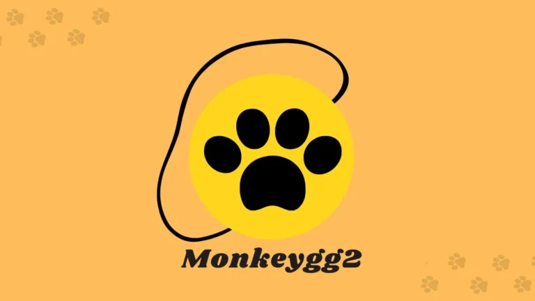 monkeygg2